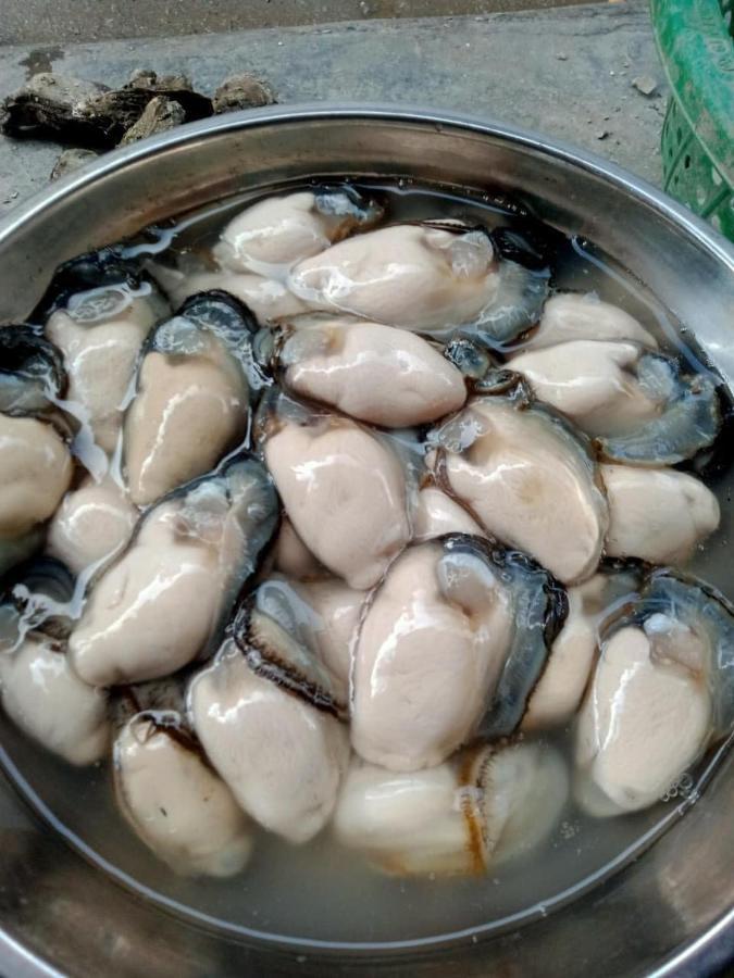 Thai Bao Hotel And Restaurant Chan Chau Luaran gambar